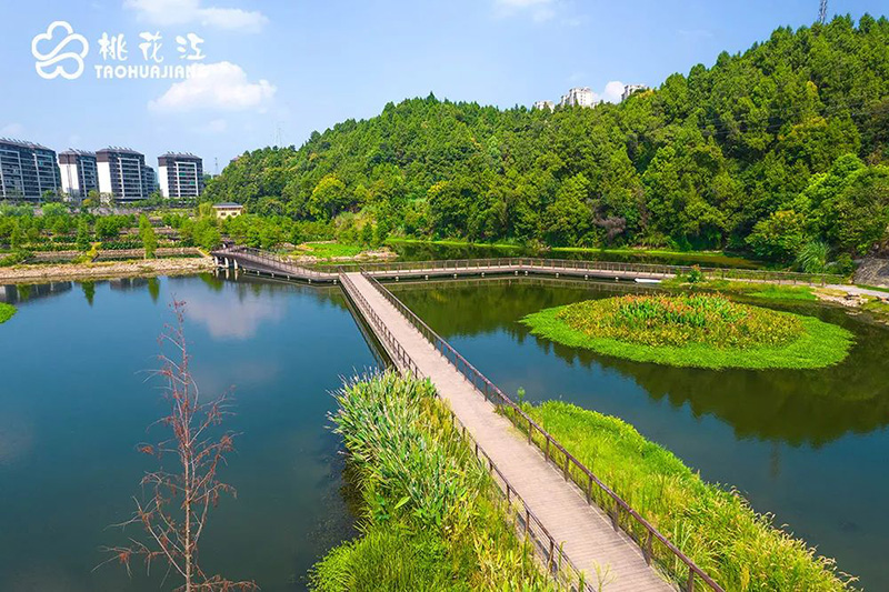 宜昌沙河濕地公園