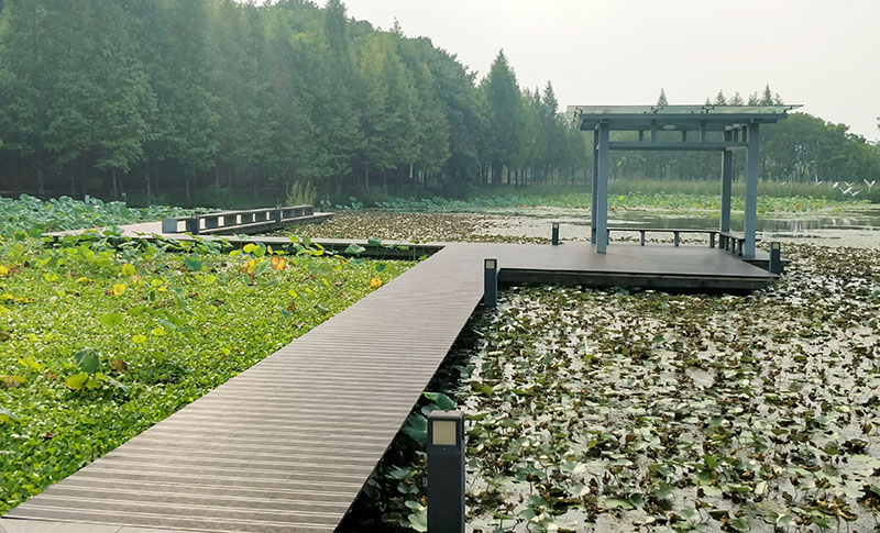 春暉公園內用桃花江高炭竹木地板鋪設的親水棧道